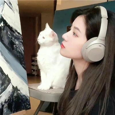 男盗女很贼